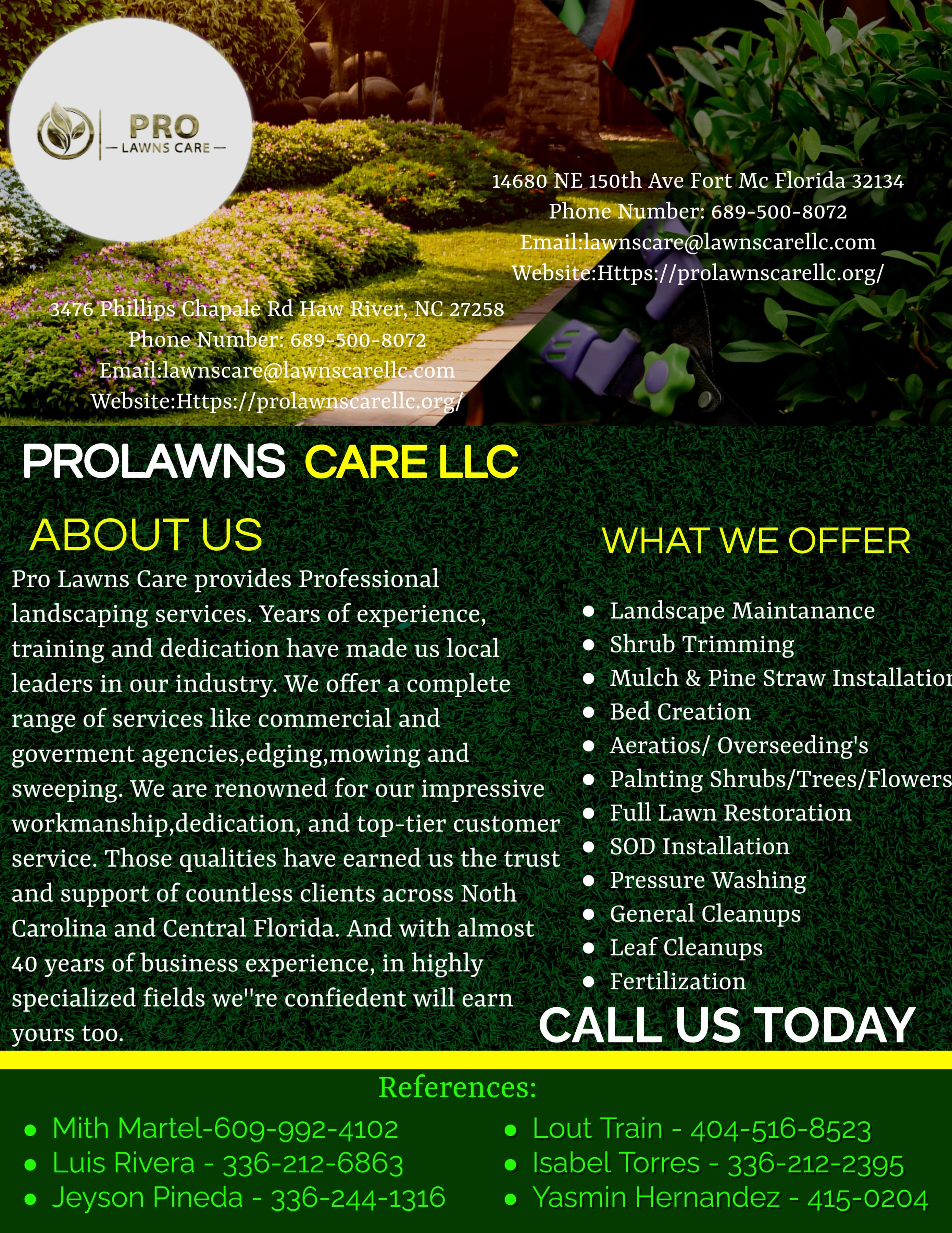 Lawn Care Flyer (4)-min